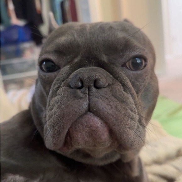 Meet your Posher, Alena - Picture 1 of 1